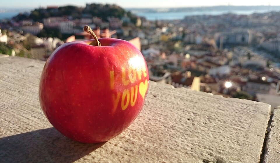 Что делать в Лиссабоне сразу после прилета?