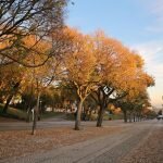 Осень в столице Португалии