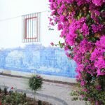 Всё цветет в Португалии